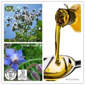 Borage Seed Oil of The Highest Quantity